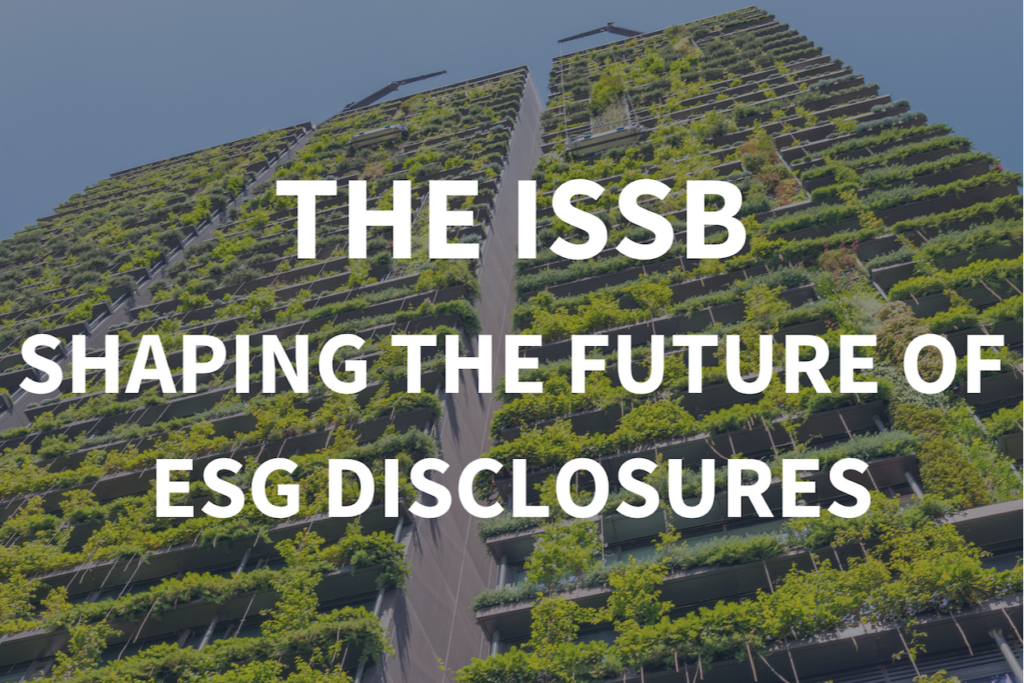 ISSB (International Sustainability Standards Board)