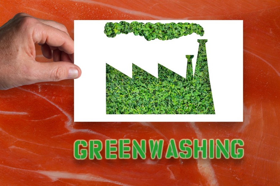 그린워싱 (Green Washing)